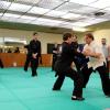 stage kung fu 17 / 18 mars 2018 Grand maître Paolo Cangelosi