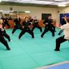 stage kung fu 17 / 18 mars 2018 Grand maître Paolo Cangelosi